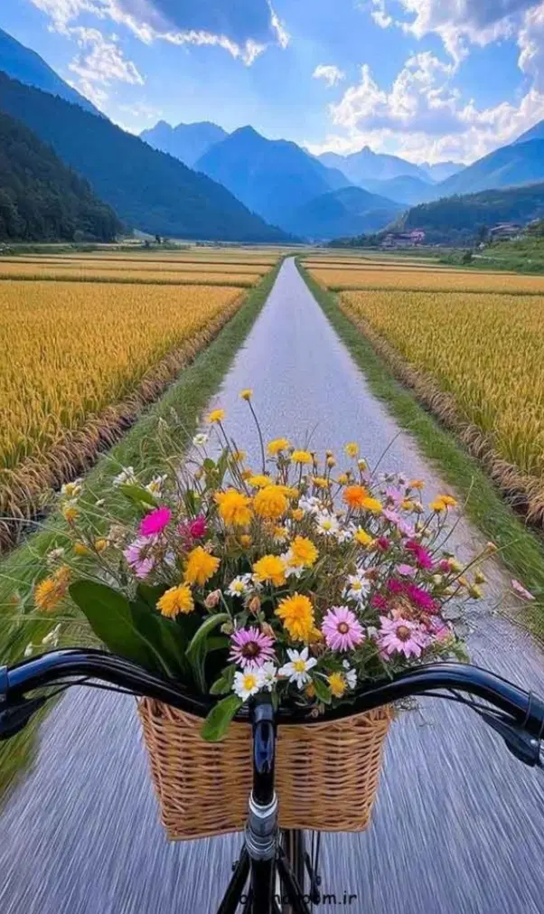 یک قطعه زمین مزروعی