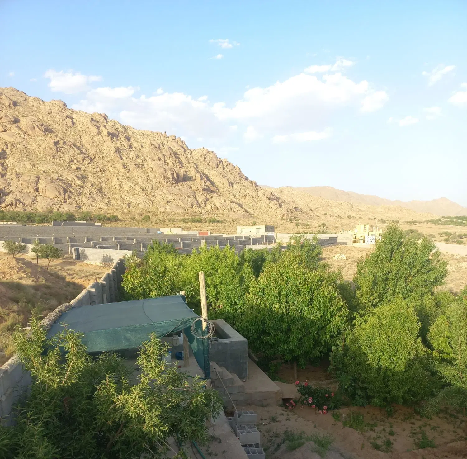 ۵۰۰متر زمین زردین