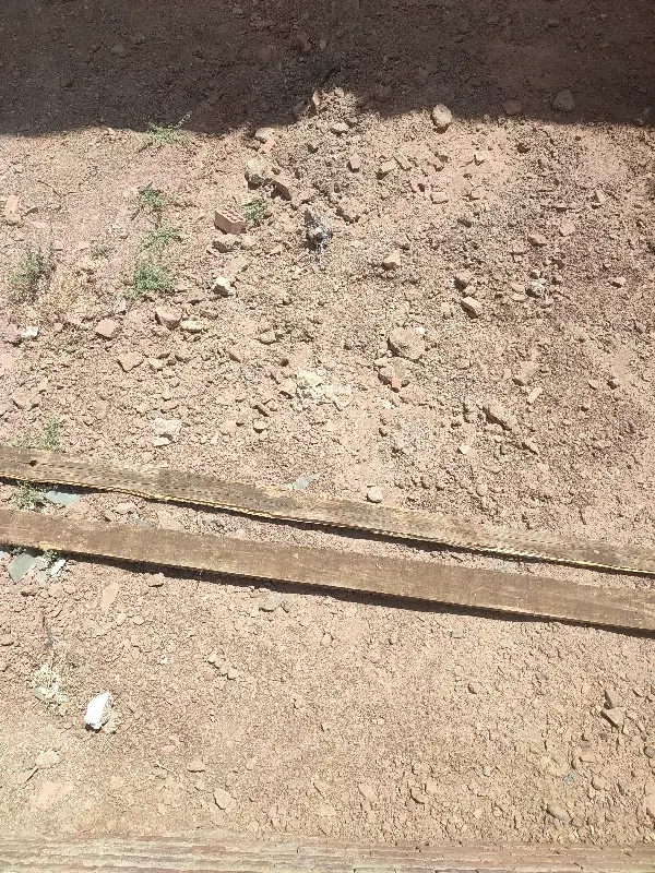 زمین کشاورزی مناسب سرمایه گذاری شهرک لاله