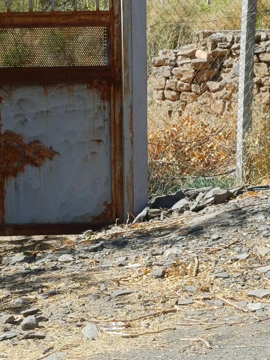 زمین