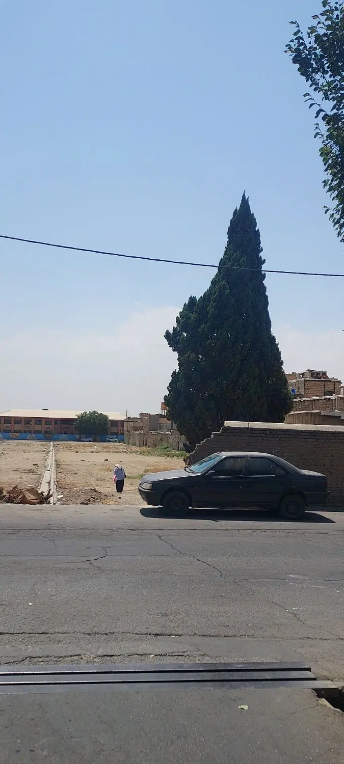 زمین سنددار پیشاهنگی