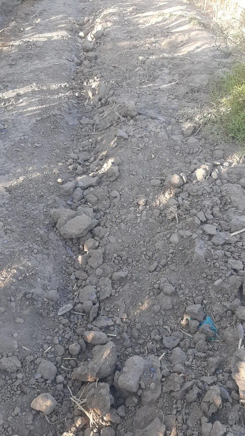 زمین در چنبران ۵۶۰متر
