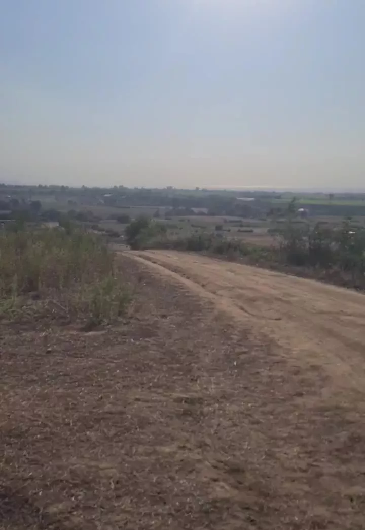 قطعه زمین باغی در روستای سعداباد