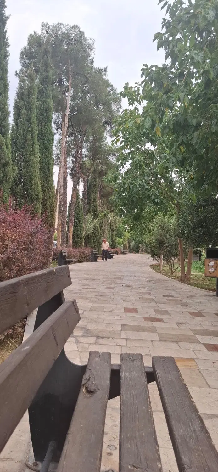 زمین گلستان شمالی تعاونی شرکت عمران صدرا