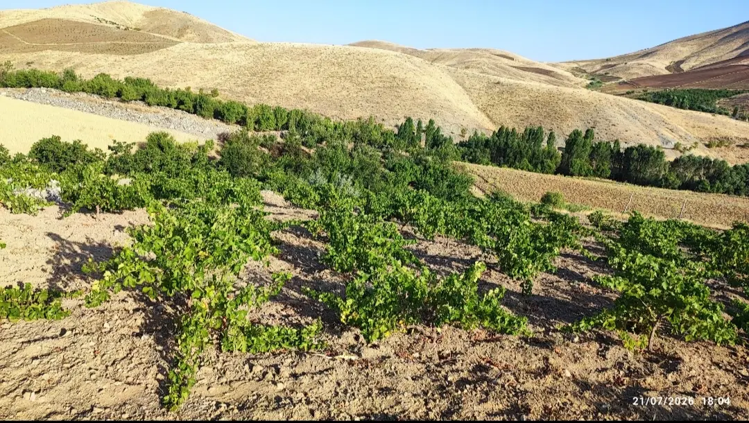 باغ و زمین ۲ هکتاری کامیاران