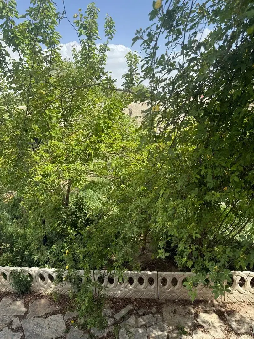 اجاره کوتاه مدت باغ وویلا