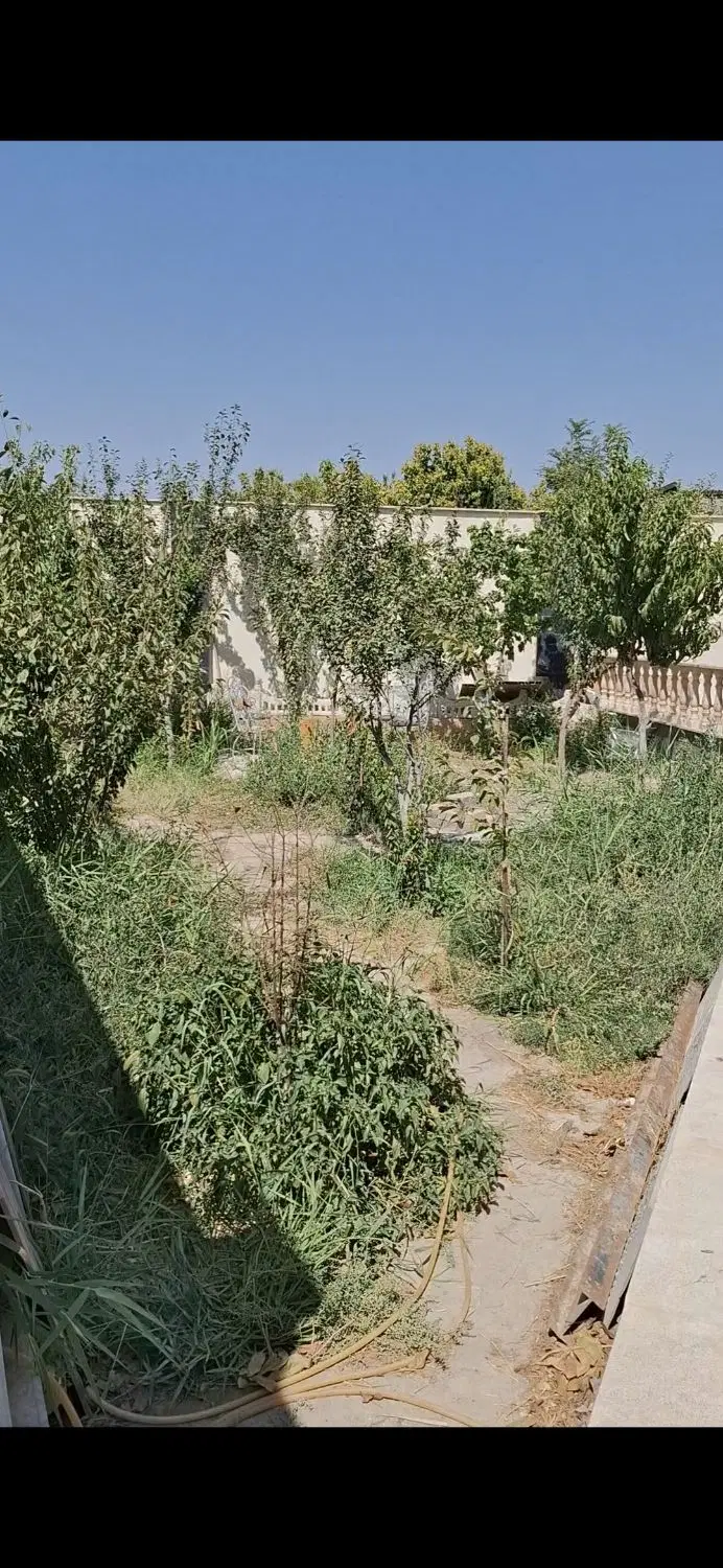 باغچه ۵۰۰ متری