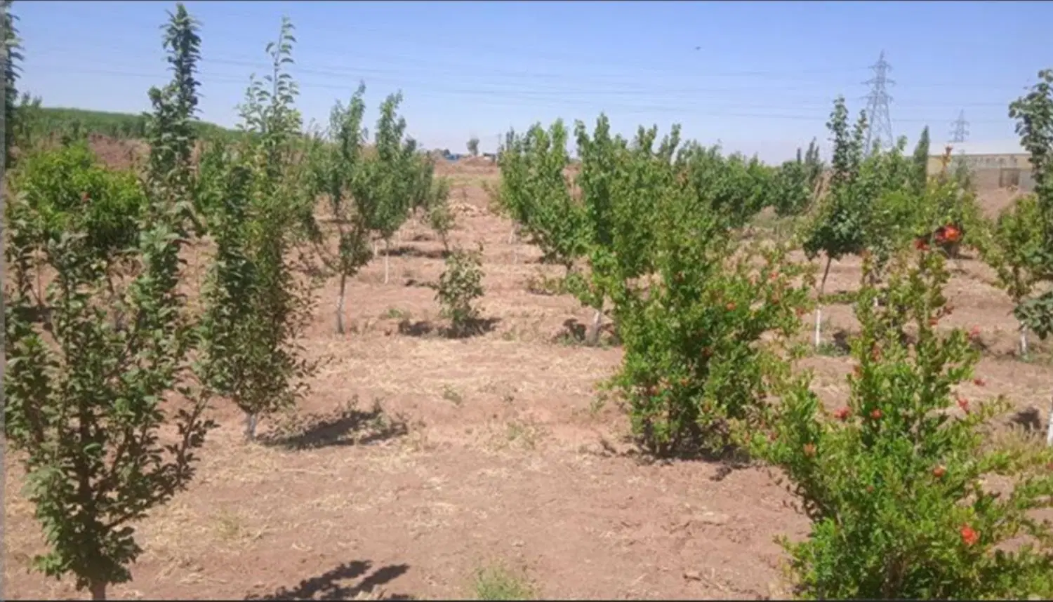 باغ بنادک سادات