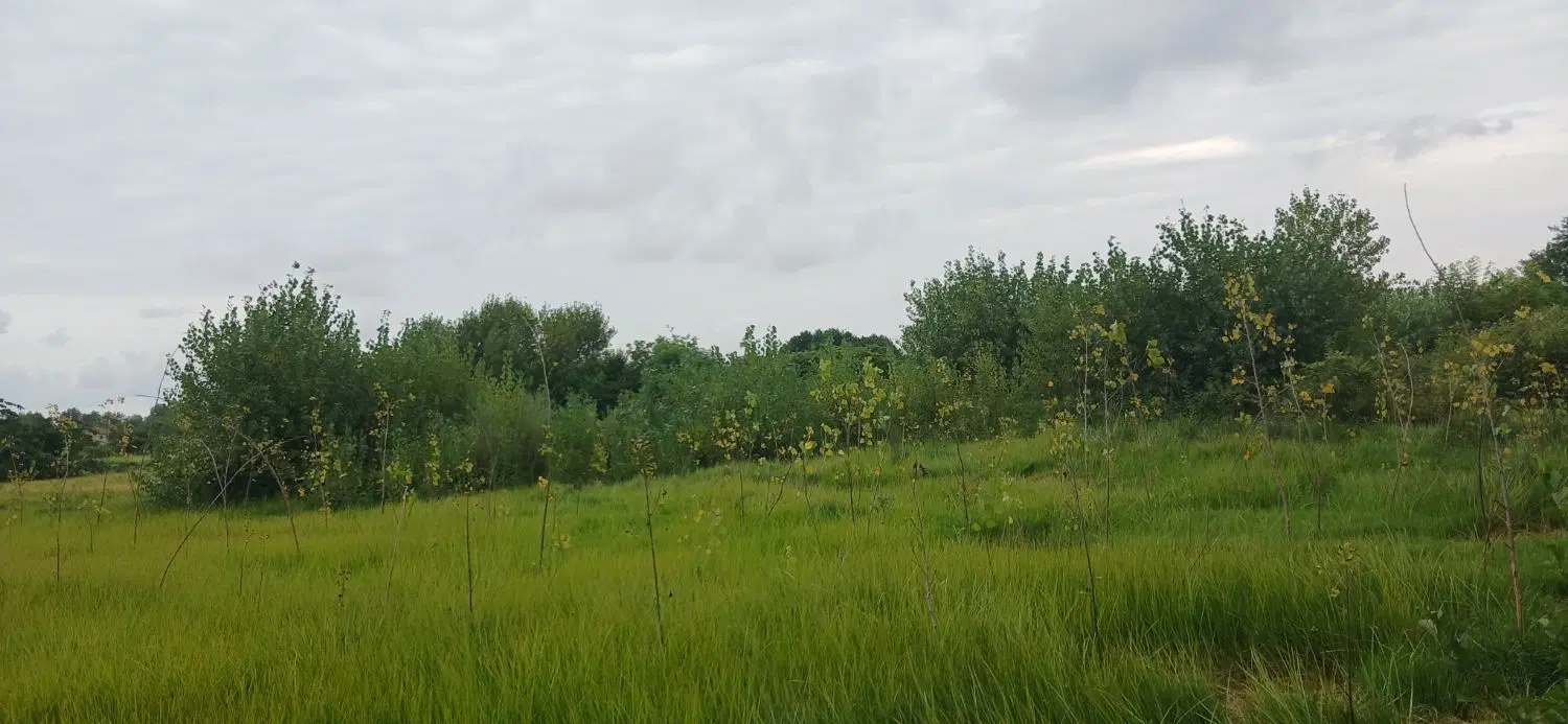 زمین کشاوزی