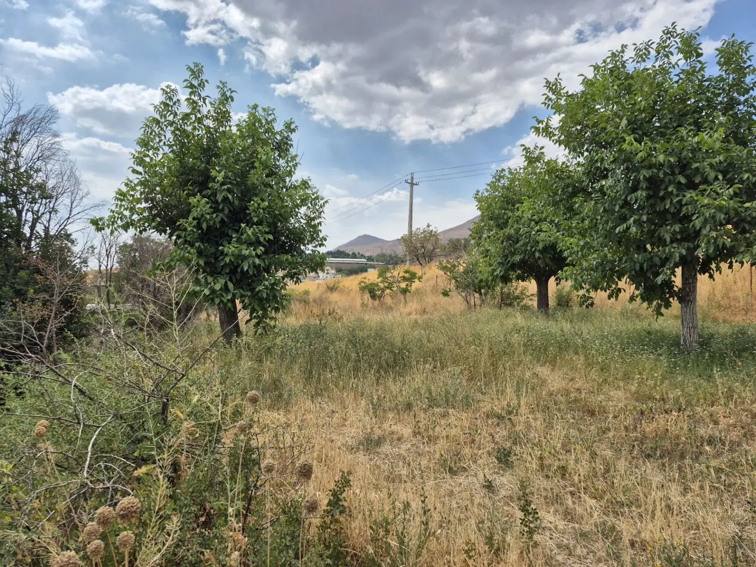 فروش زمین 400 متری در رزجرد  برِ خیابان