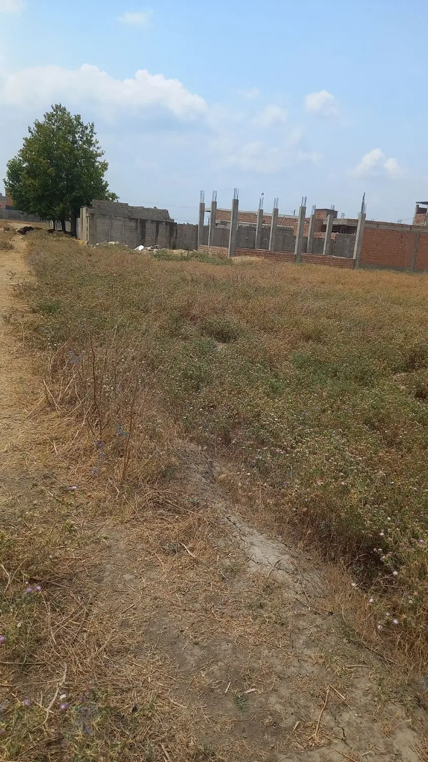 فروش. زمین. زینب آباد