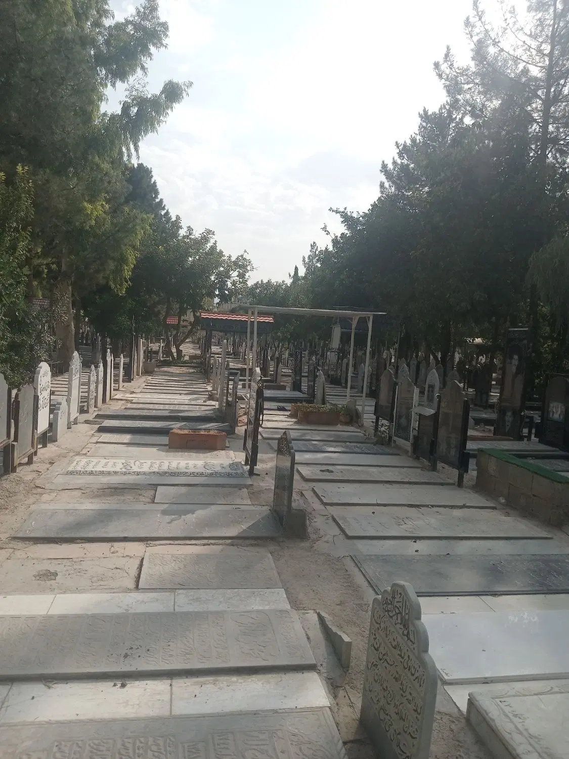 قبر دارالرحمه شیراز