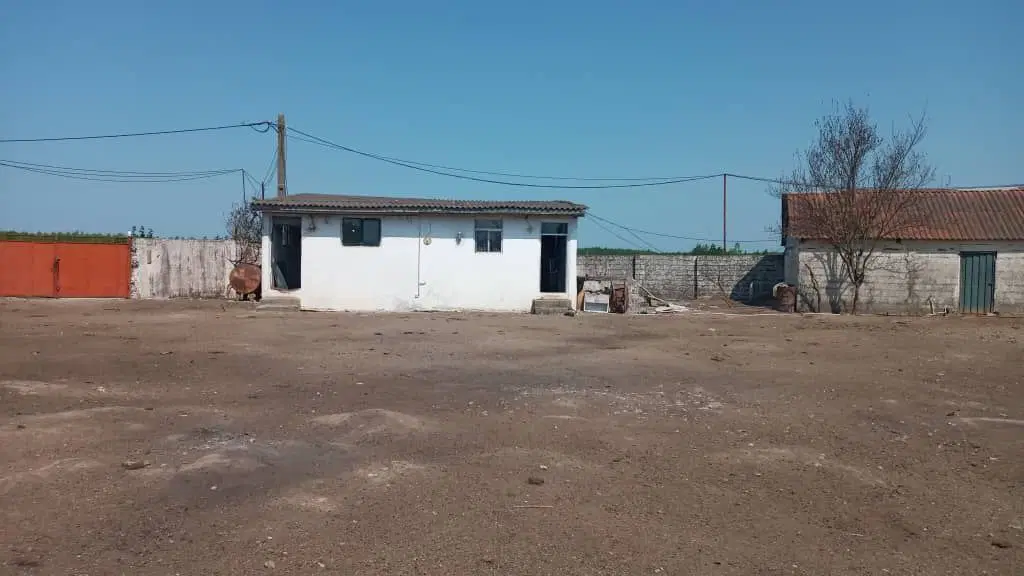 گاوداری پرواربندی صنعتی ۱۵۰راس فروش