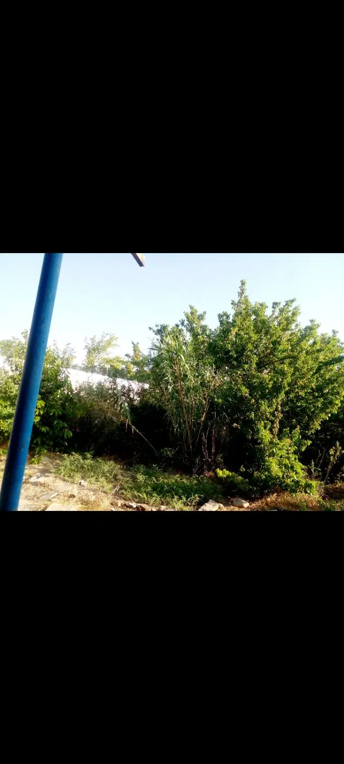 فروش خانه ویلایی
