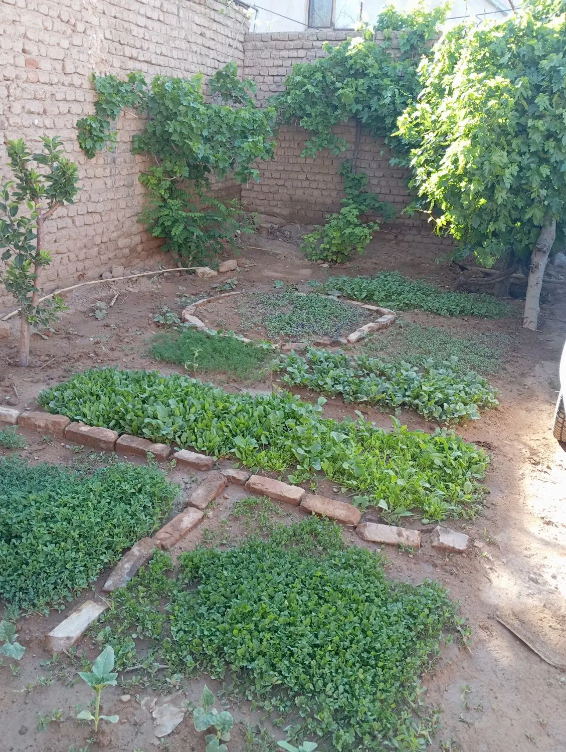 ۱۱۱۹مترزمین در روستای زرق آباد