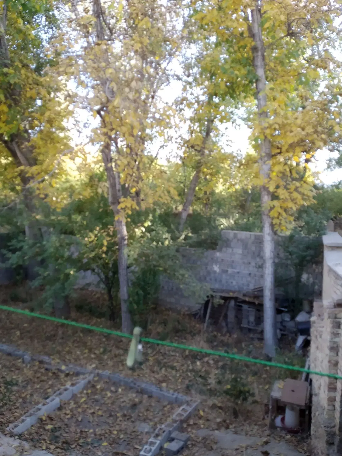 .بلایی ‌‌‌‌‌قابل سکونت