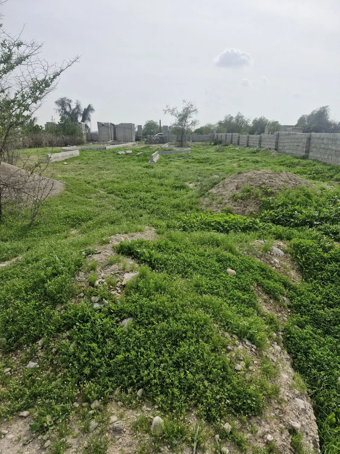 فروش زمین سرخون