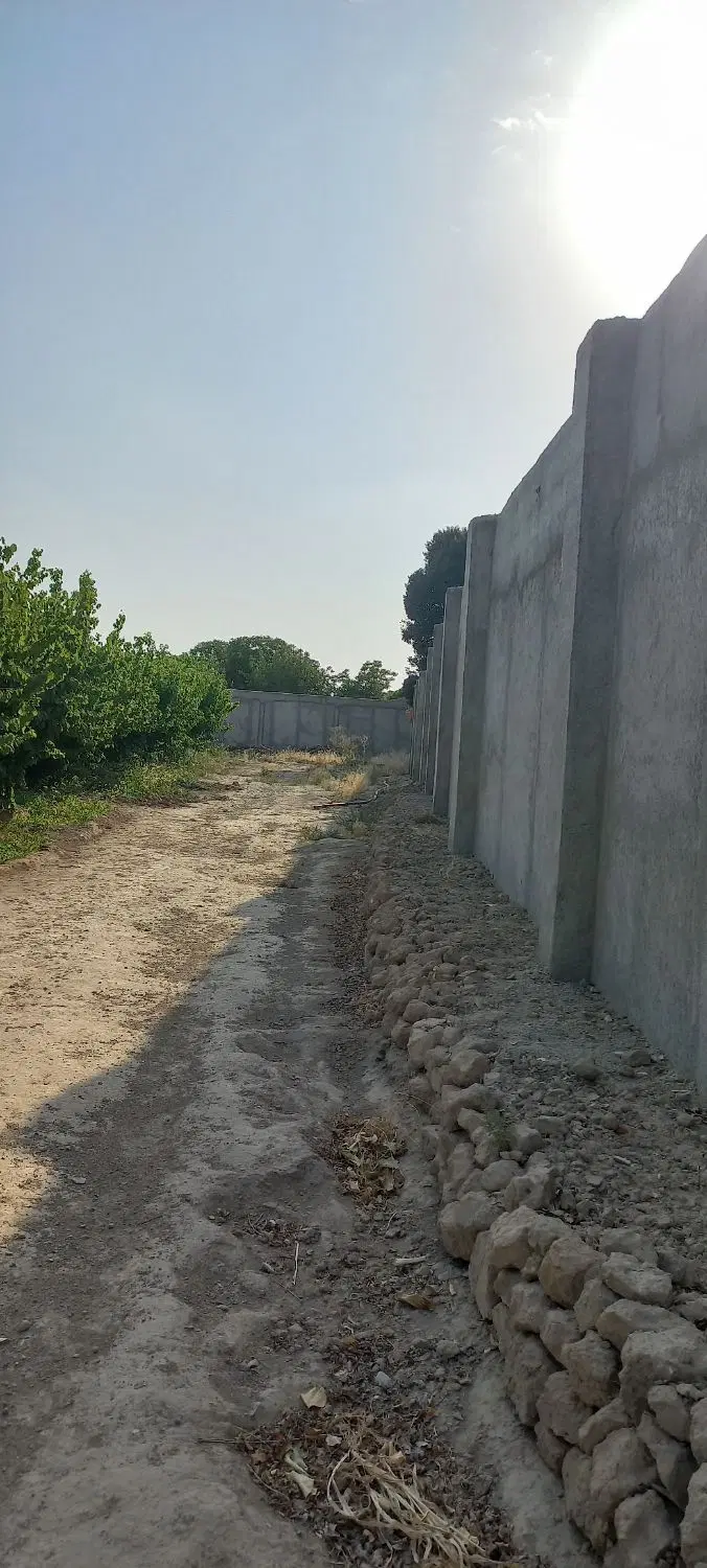 باغ۵۰۰۰متری،با سالن،باغ وحیدیه