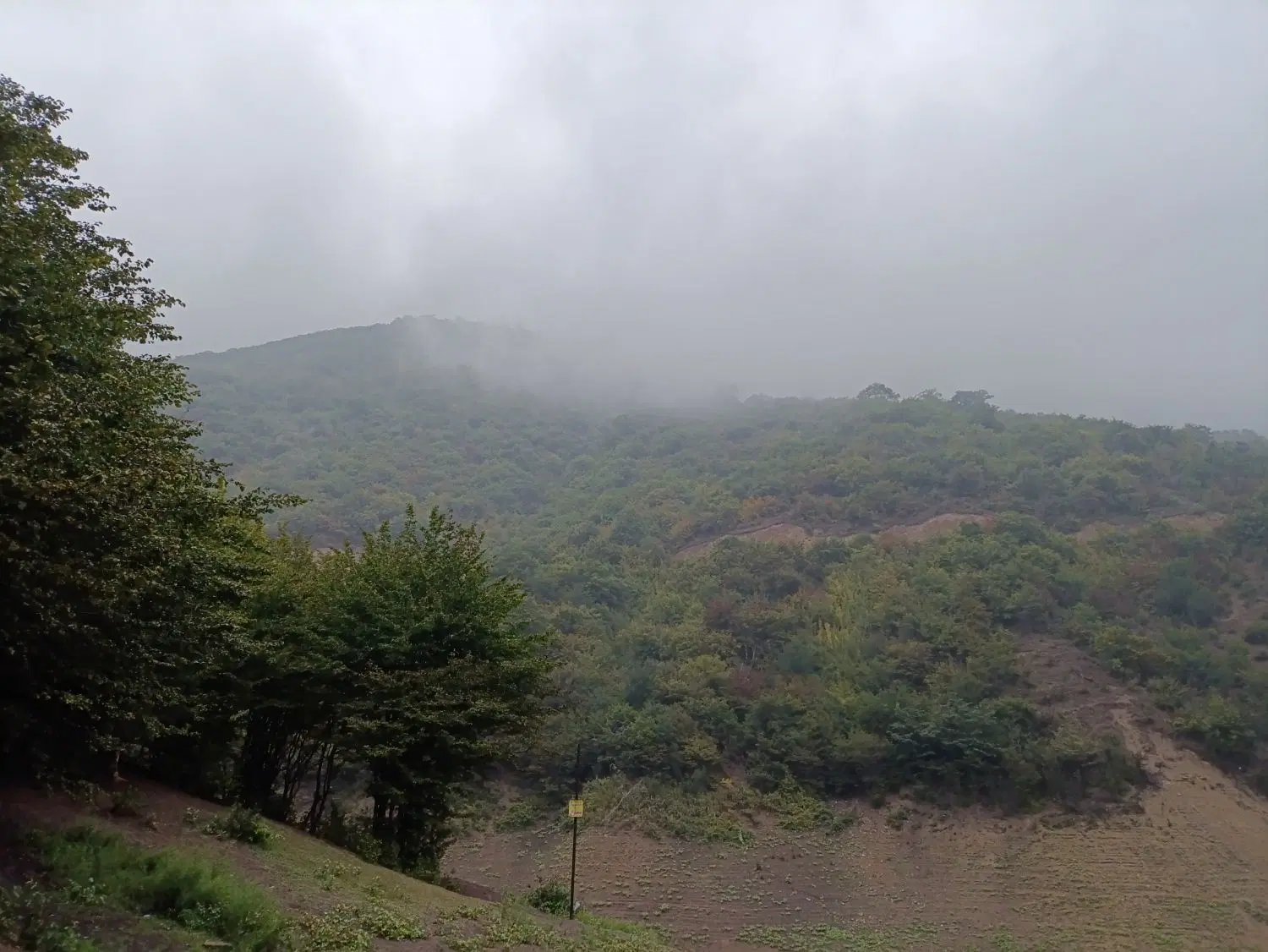 زمین جنوبی 3۴۵ متر .غفاری (پرستار)