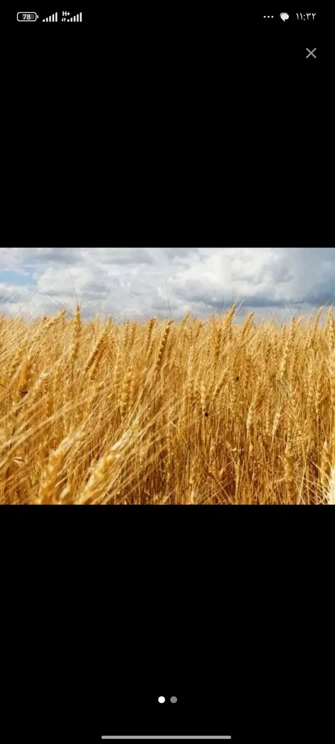 زمین کشاورزی آبی