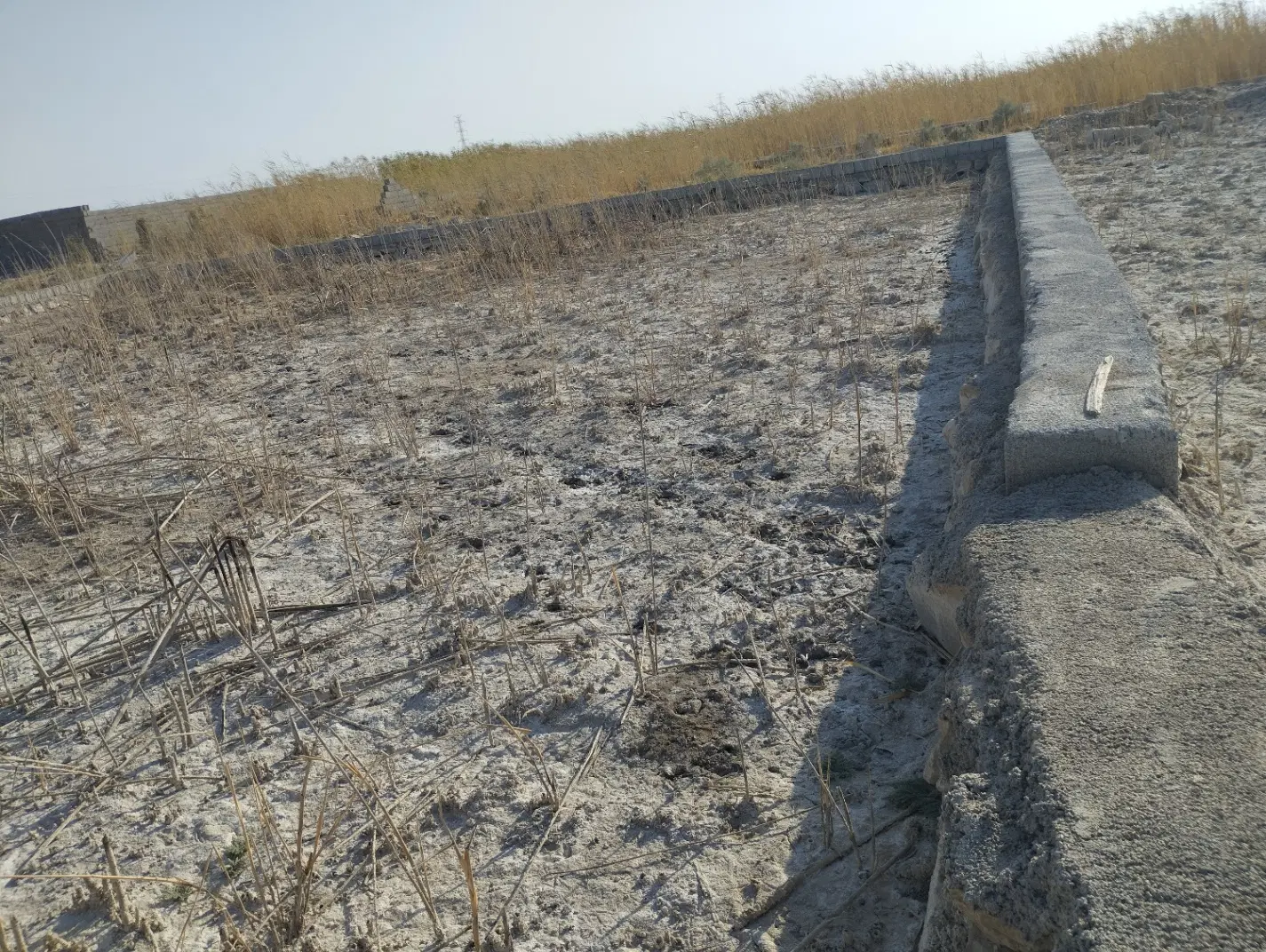 فروش زمین
