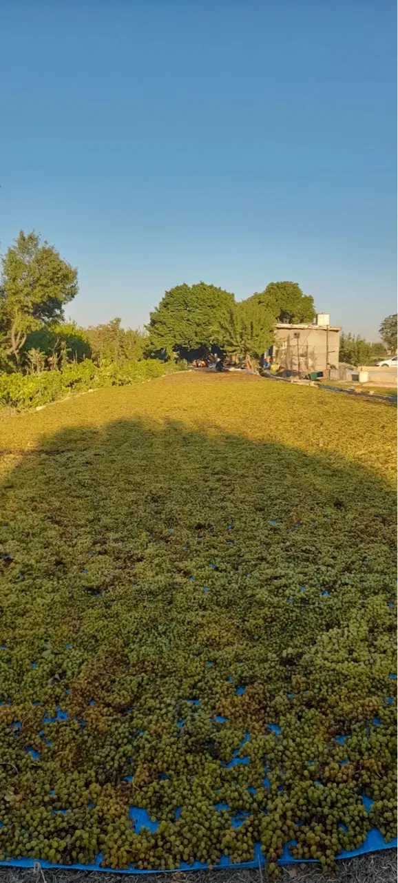 ۲۰ هکتار زمین کشاورزی، معاوضه با ملک غرب تهران
