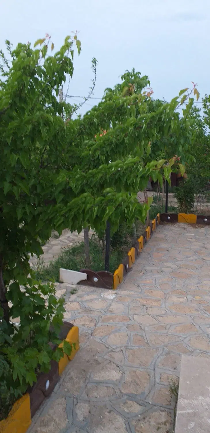 باغ جاده کاهو مجتمع شرکت برق