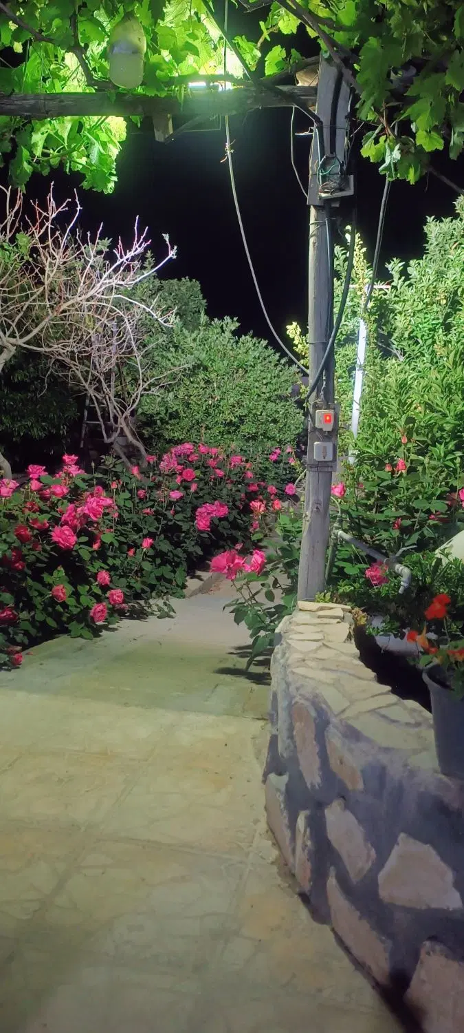 فروش باغچه دشت ارژن