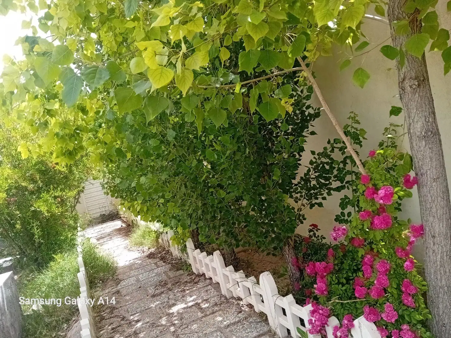 خانه باغ