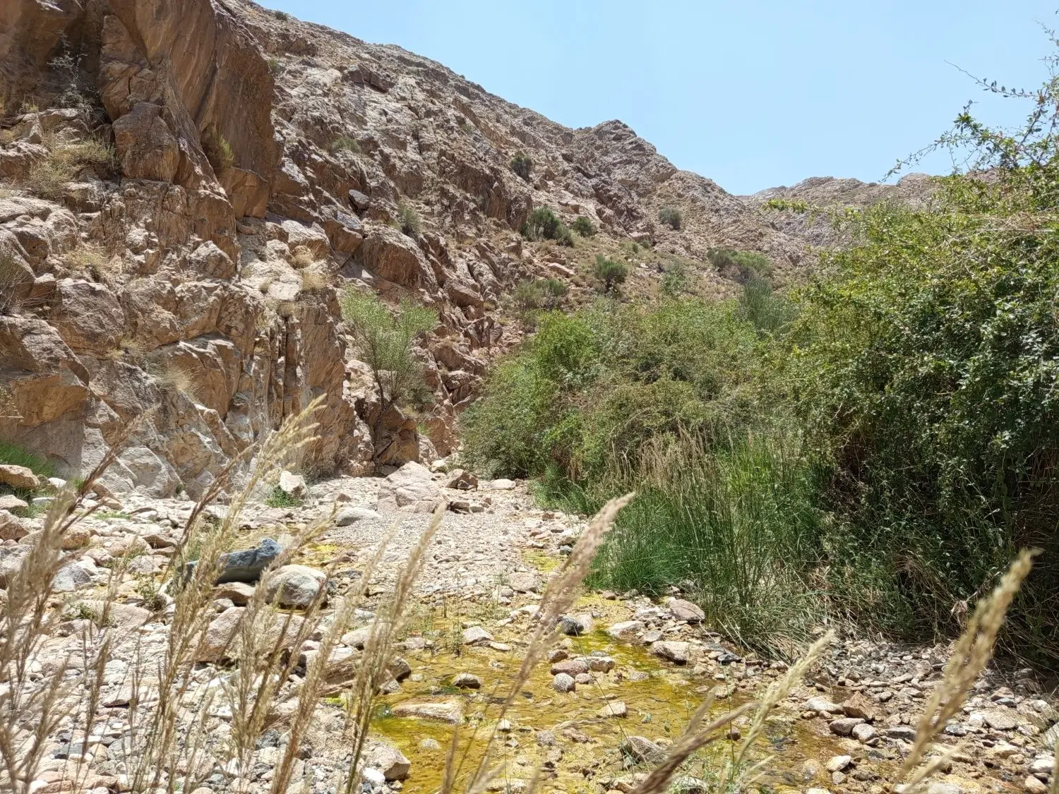 زمین مسکونی فیض آباد
