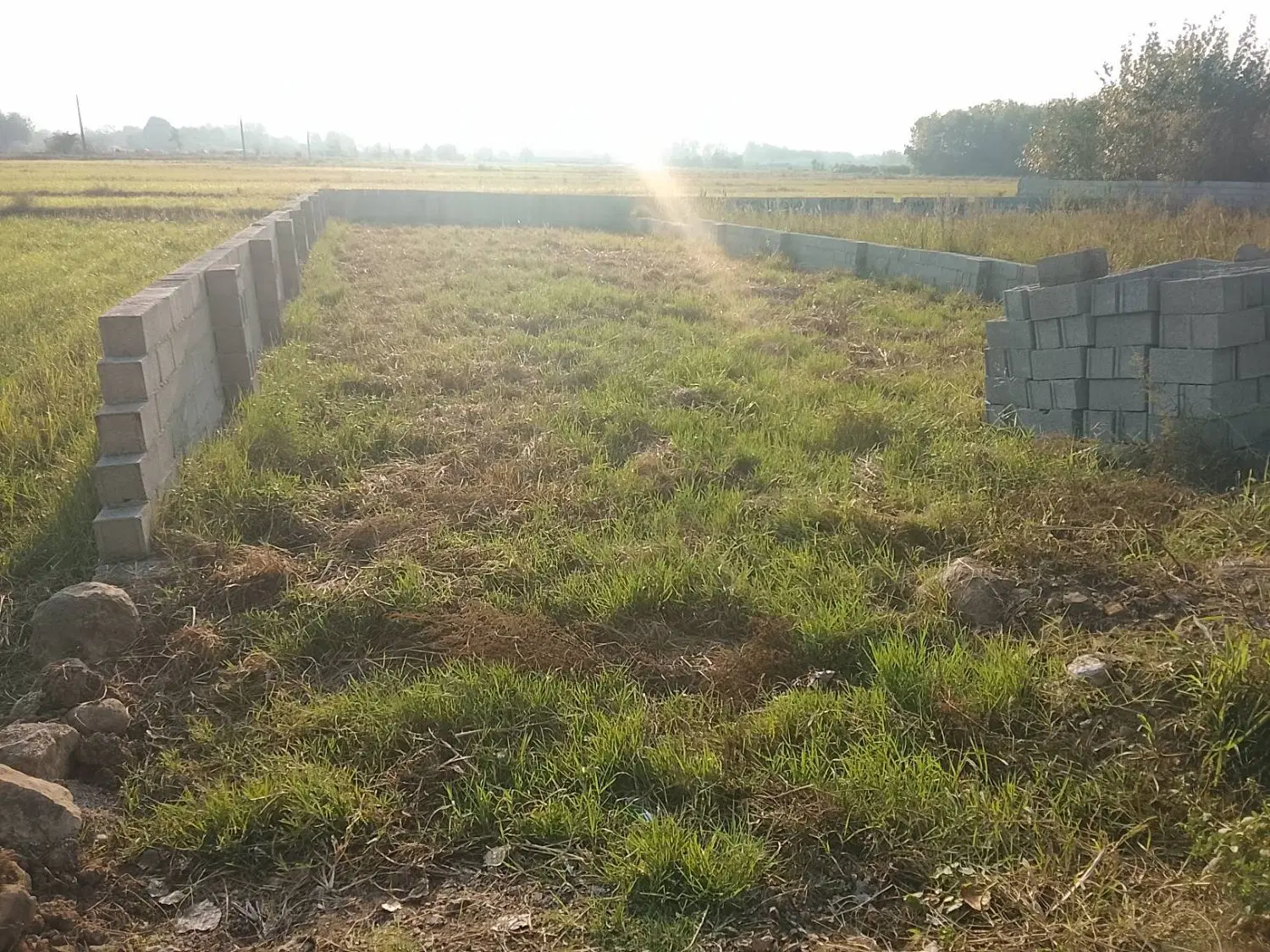 ۲۹۰متر زمین مسکونی سندتک برگ باپروانه ساخت