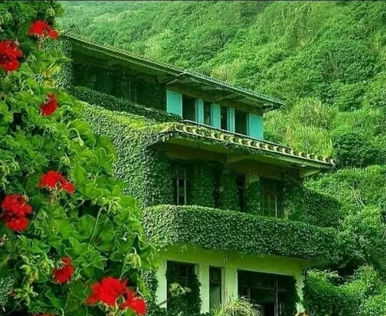زمین آبی کشاورزی  جنت مکان