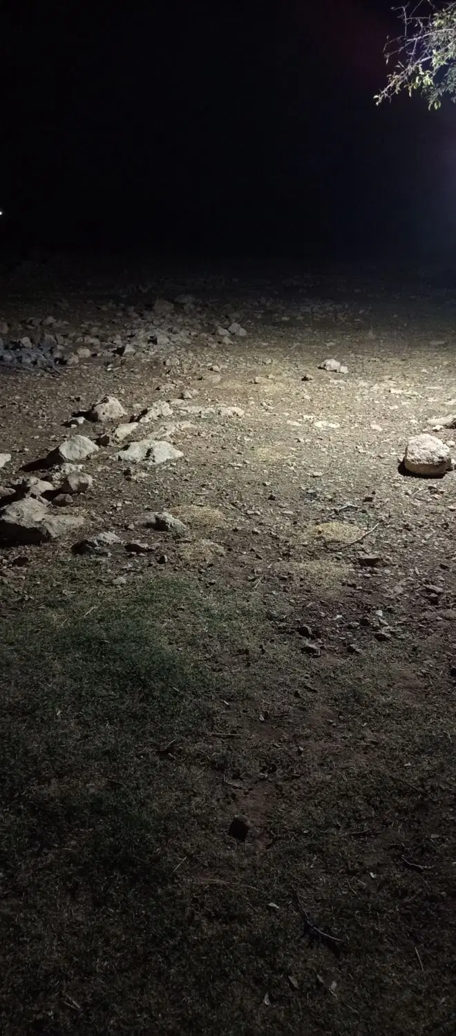 زمین سروک جهاد