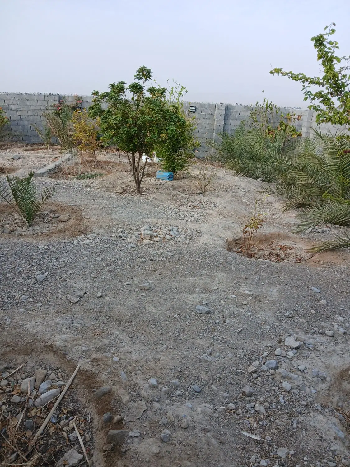 زمین روستای گیشان بخش تخت