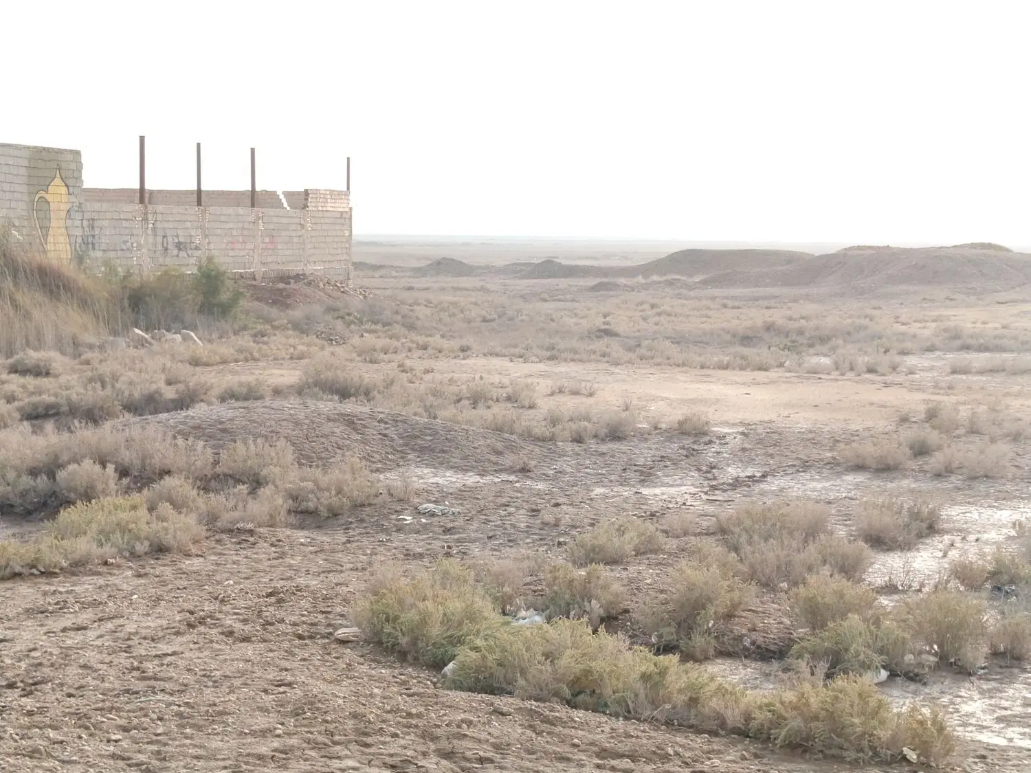 زمین 5000 متری