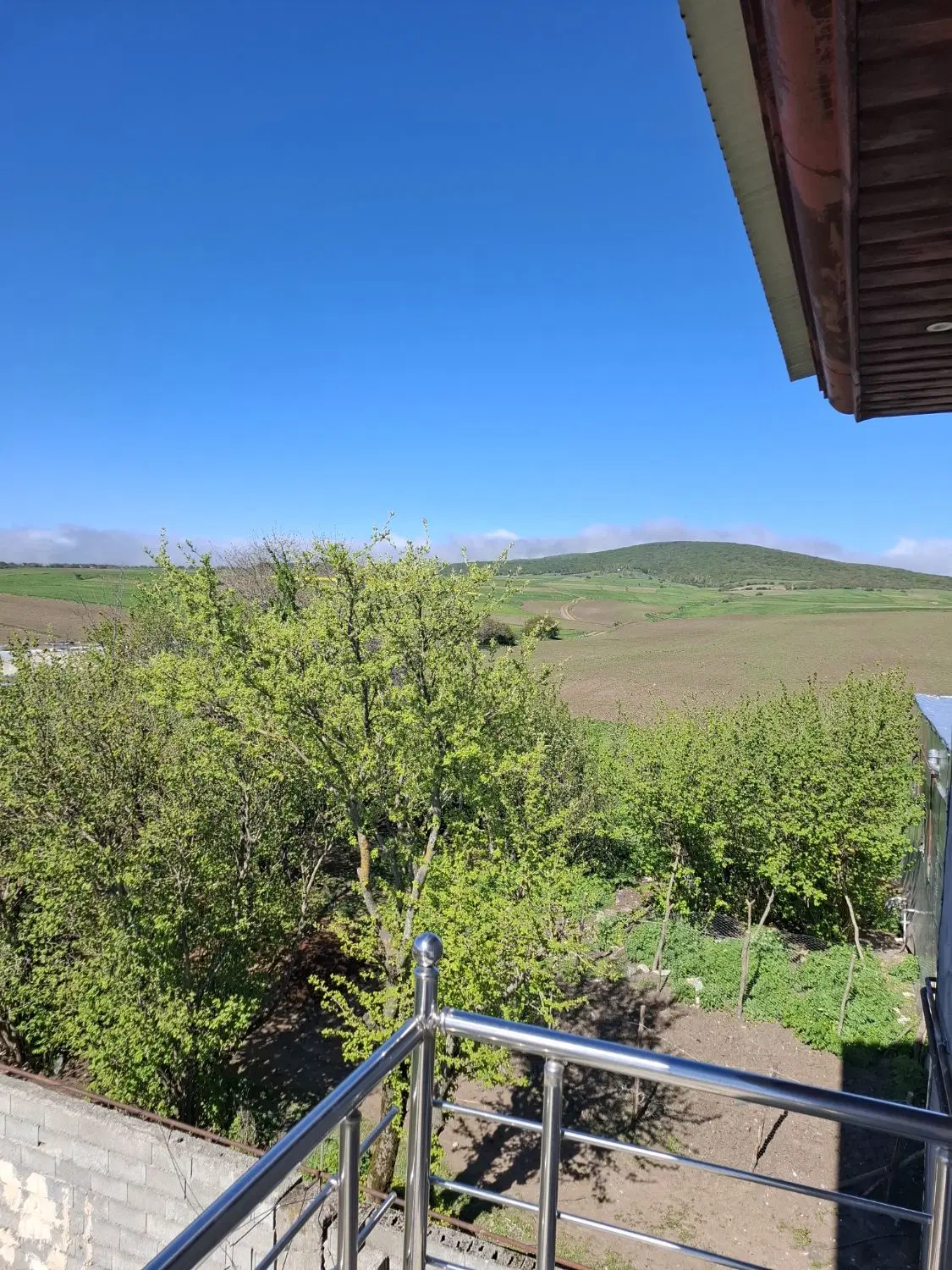 ویلایی کله سر