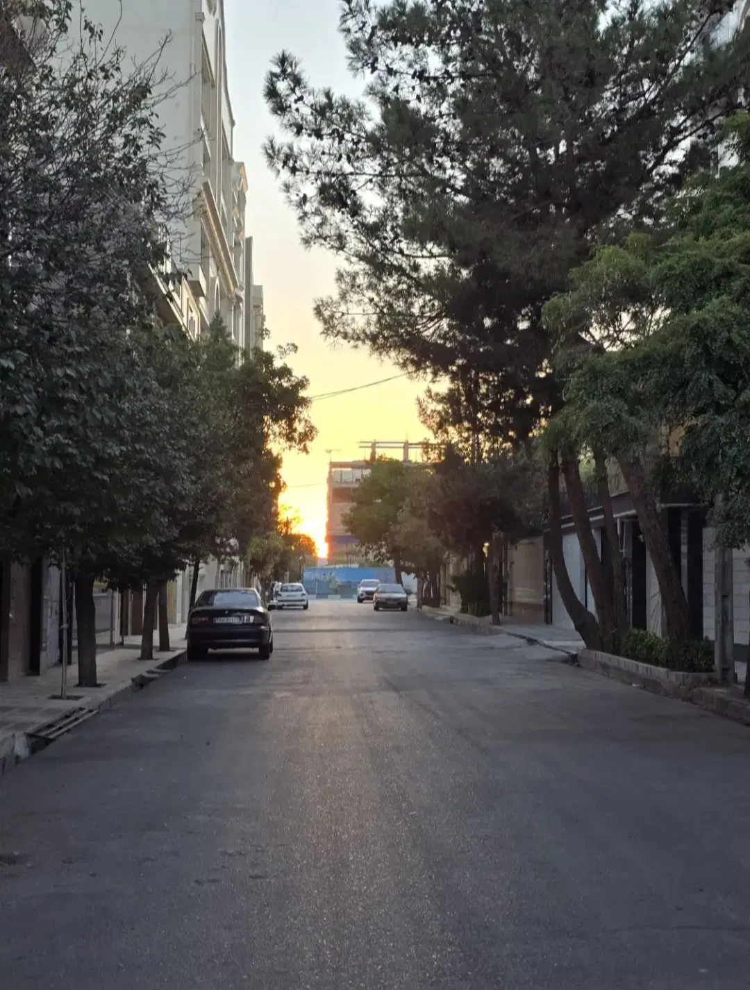 ویلایی عروسک بدون یک ریال خرج