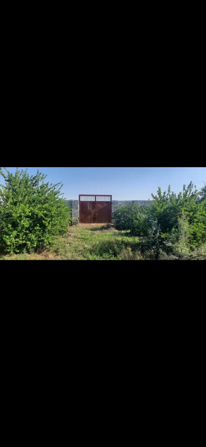 فروش زمین باغی