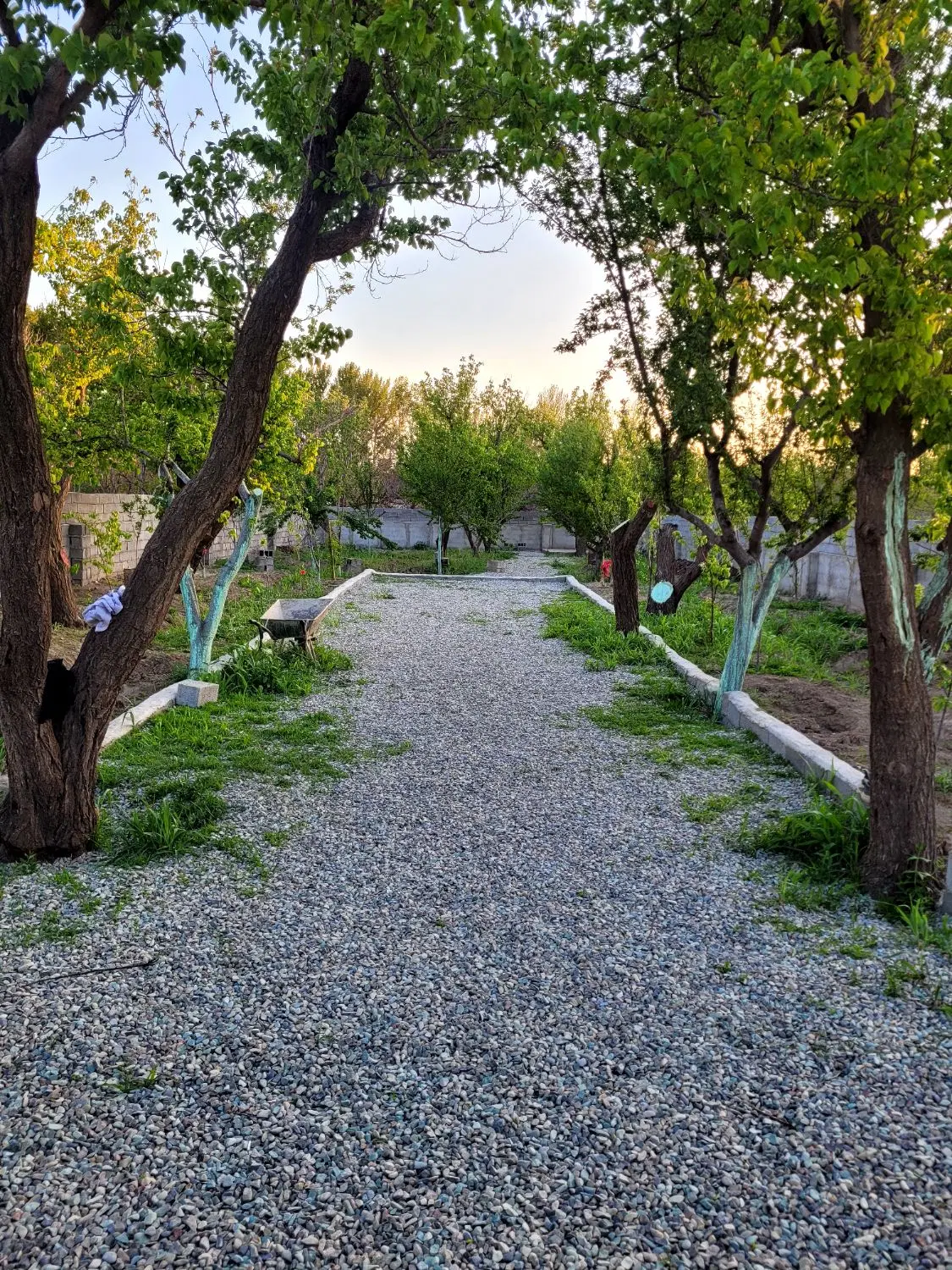 باغچه در قلب شهر‌