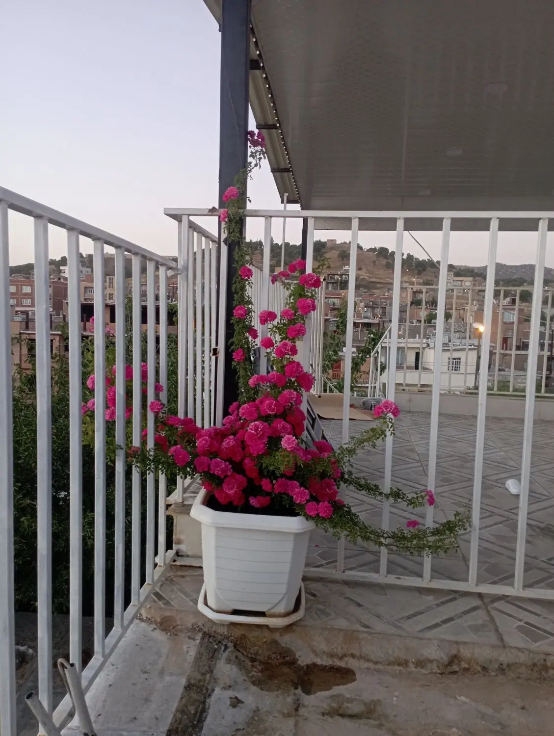 ملک تجاری مسکونی کانی دینار