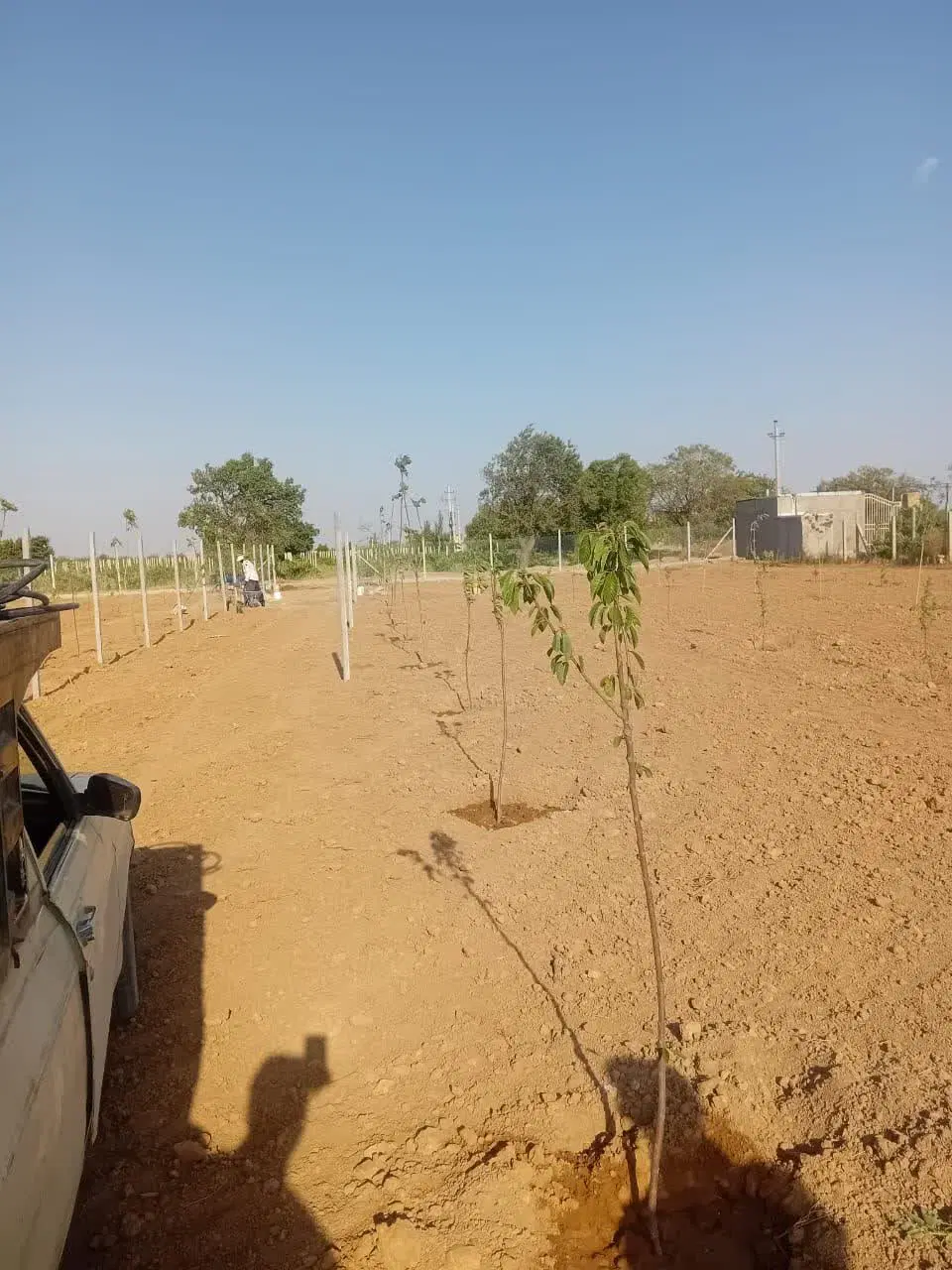۲۰۰متر باغچه فقط ۲۰۰ میلیون تومان