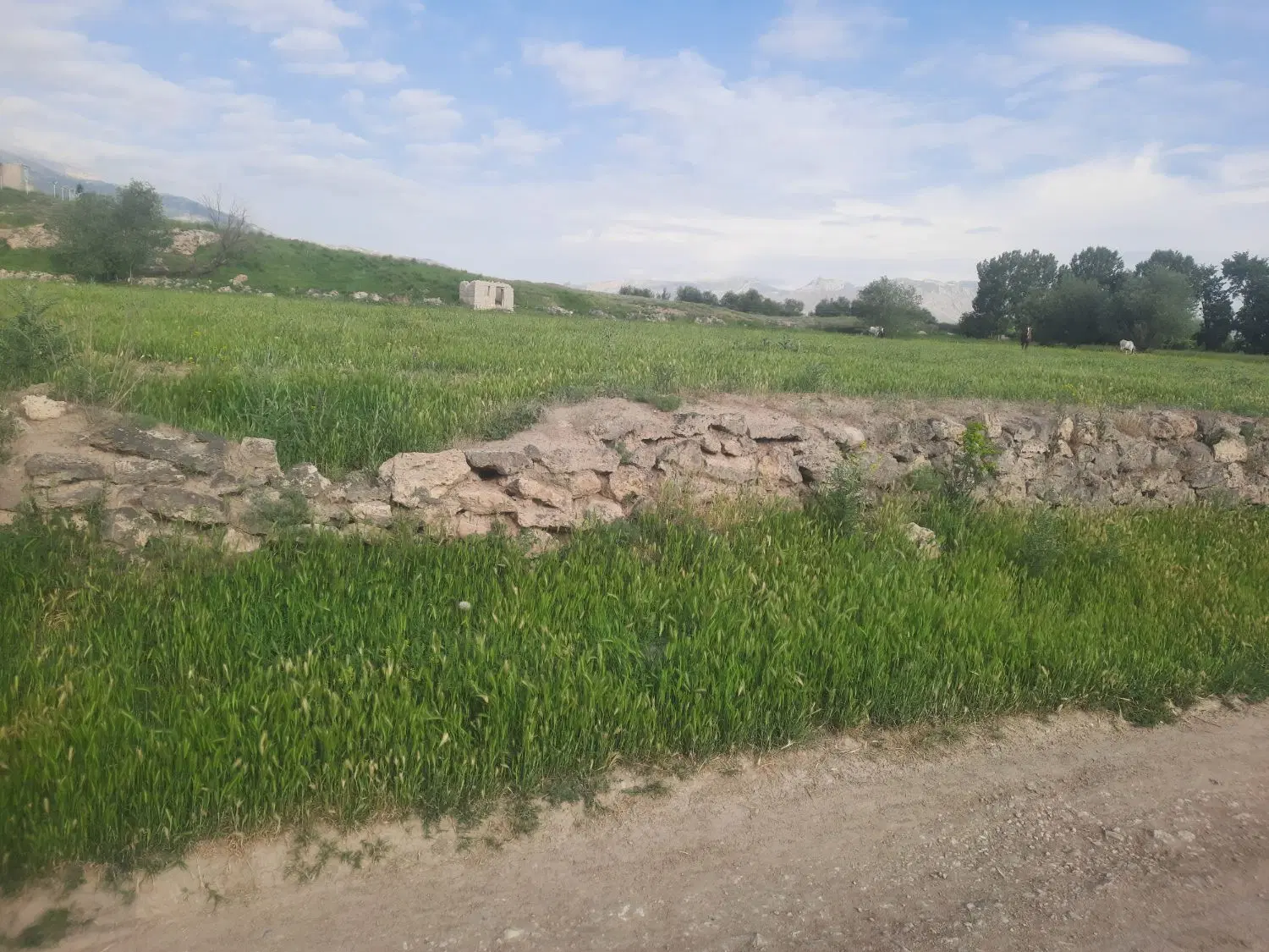 زمین در سنگر همراه با مجوز خانه باغ