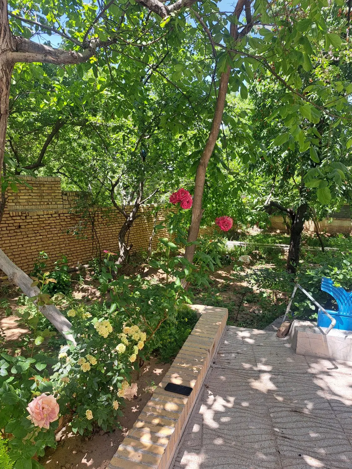 باغ و خانه ۵۵۰ متر واقع در محله جانبرزان دهبالا