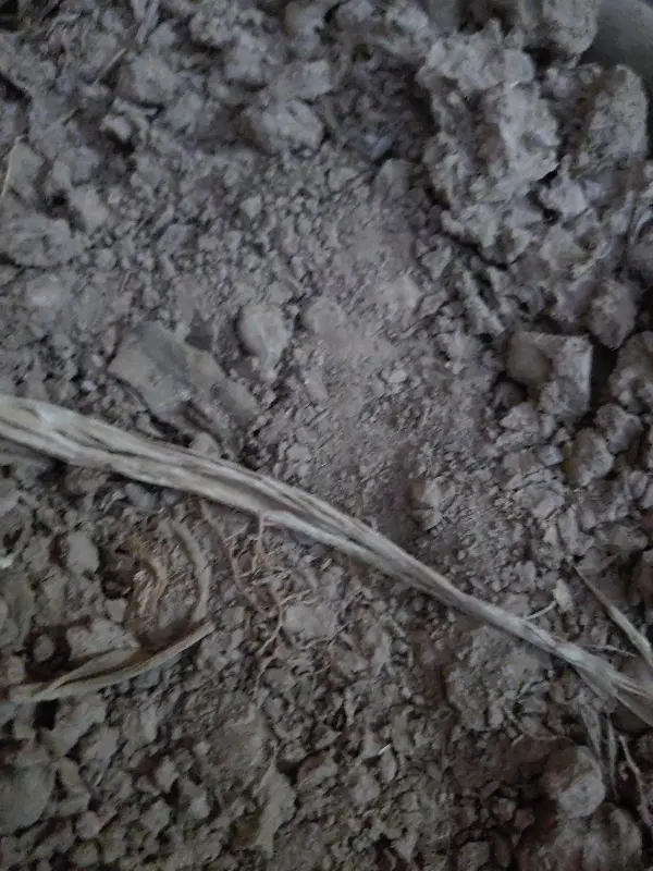 زمین ۸۵متری