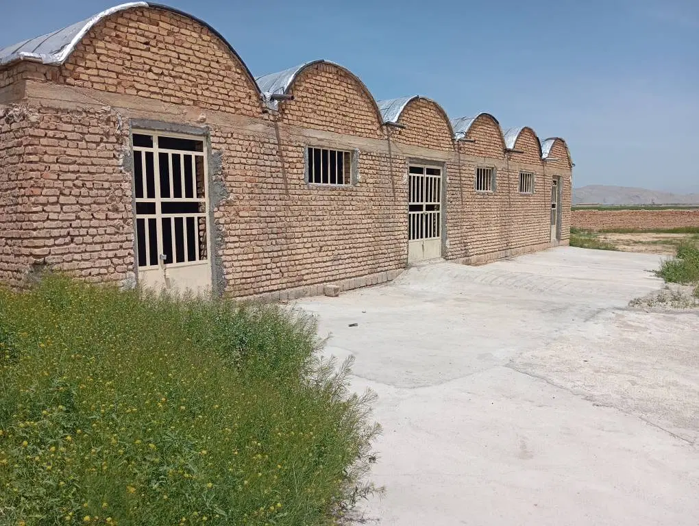 اجاره تولیدی مسقف