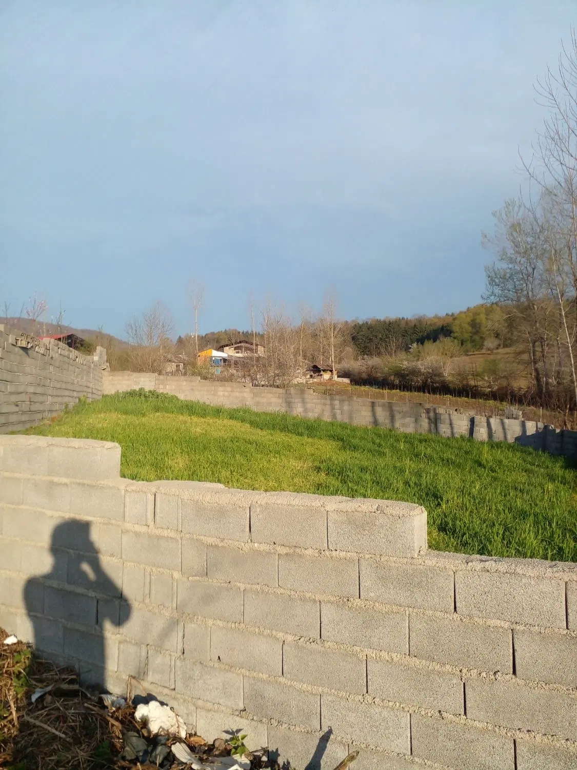 فروش زمین ۲۷۷ متری واقع در سوادکوه روستای لاجیم