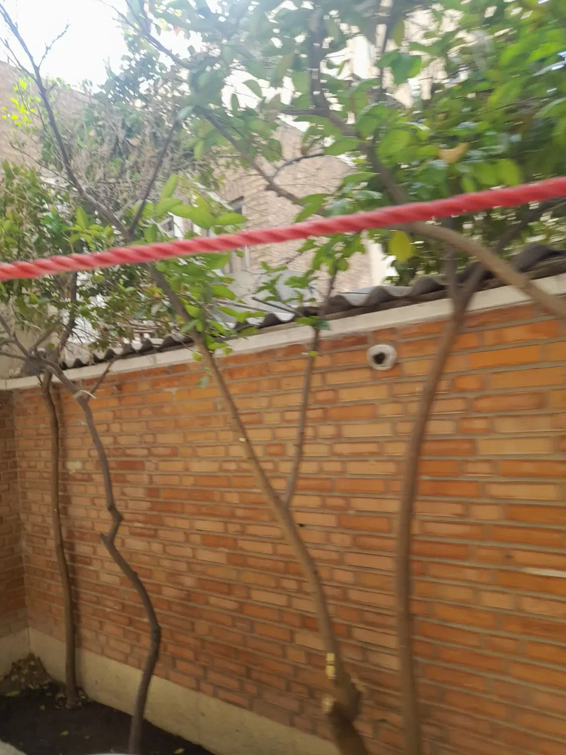 اتاق مجردی