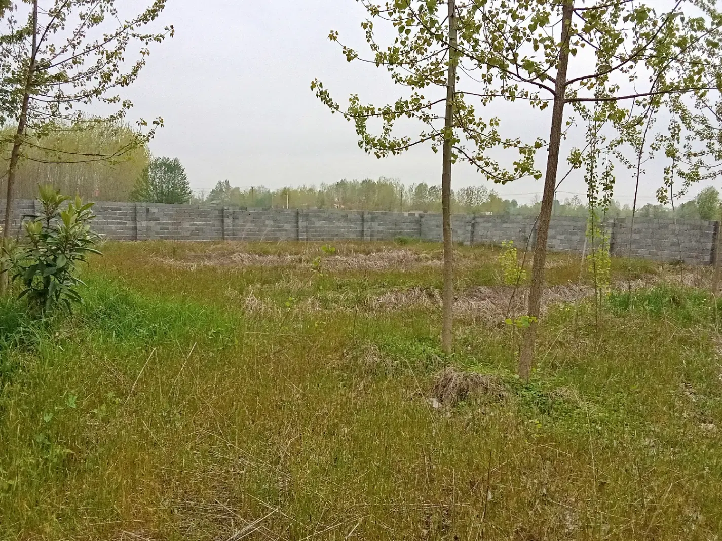 زمین باغی-مسکونی