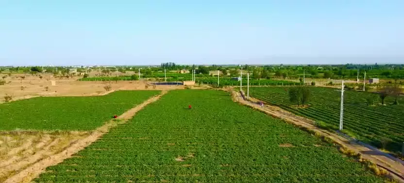 مزرعه ۴۵۰۰۰ هزار متر با تمام امکانات