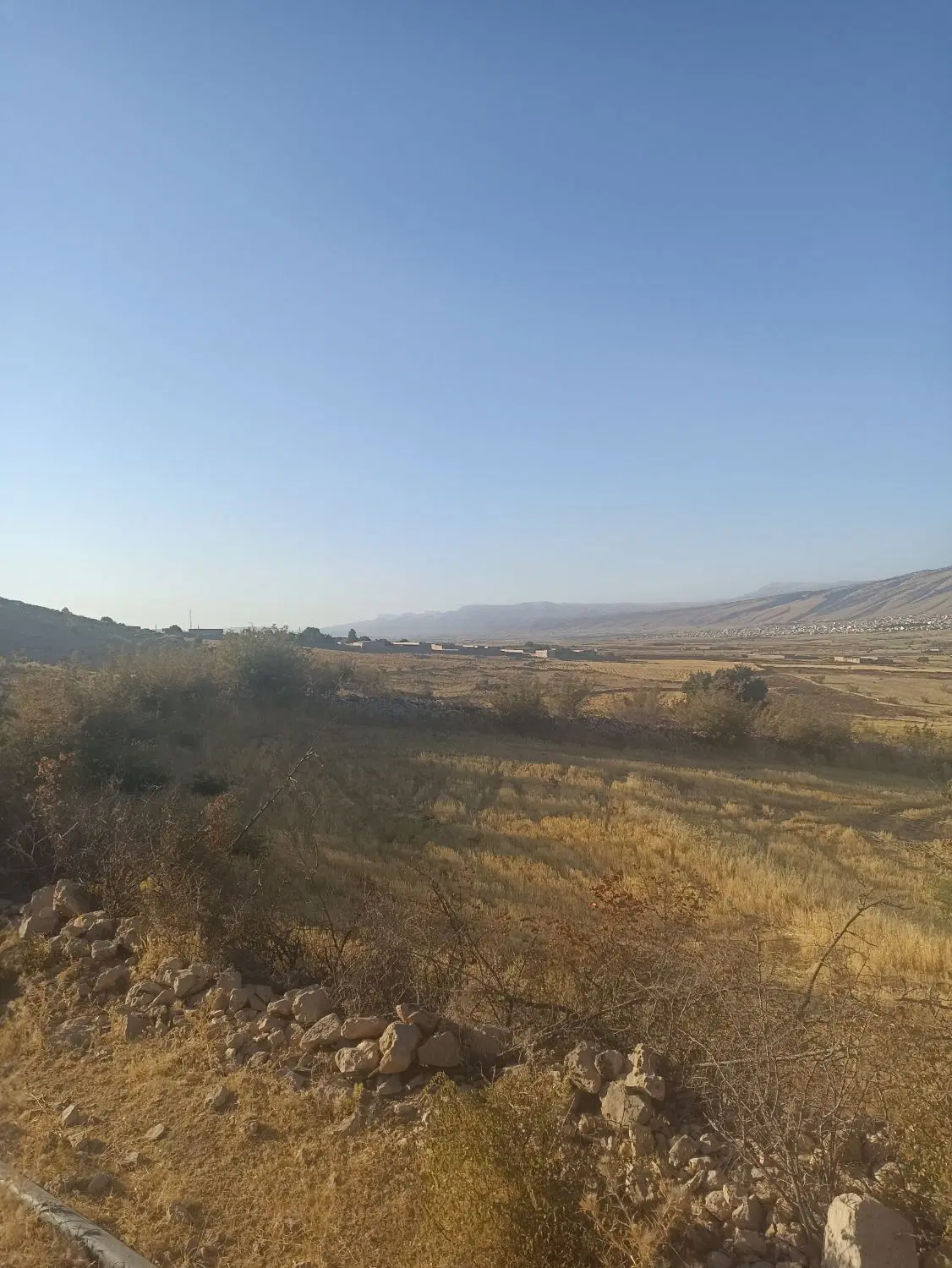 زمین کشاورزی کنار امامزاده سید عبدالله